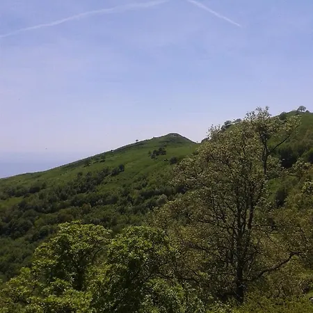 Vacanze Gaudio *